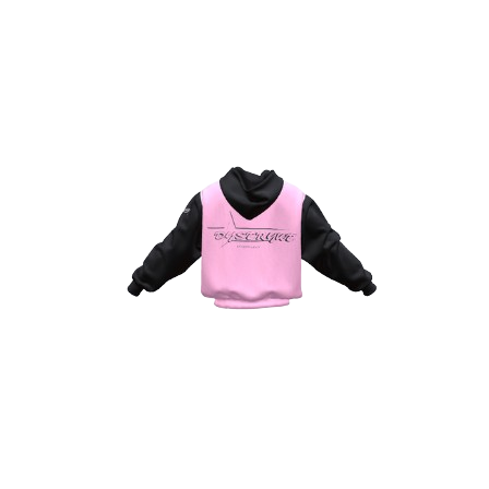 DYSTRYKT Signature hoodie-alternate.