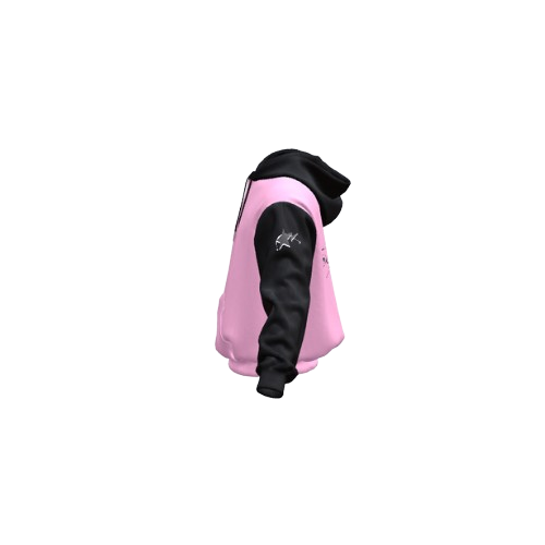 DYSTRYKT Signature hoodie-alternate.